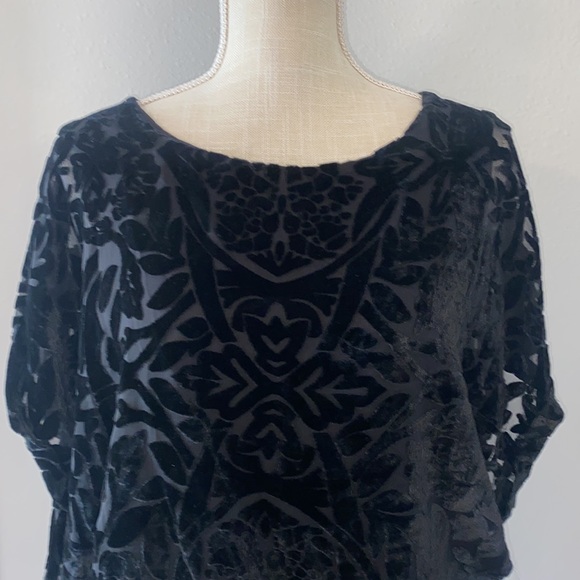 Joseph A Velvet Burnout Style Short Sleeve Top - Picture 2 of 8